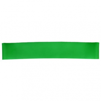 фото Резиновая мини петля WORKOUT RM2 (5 кг) зеленая